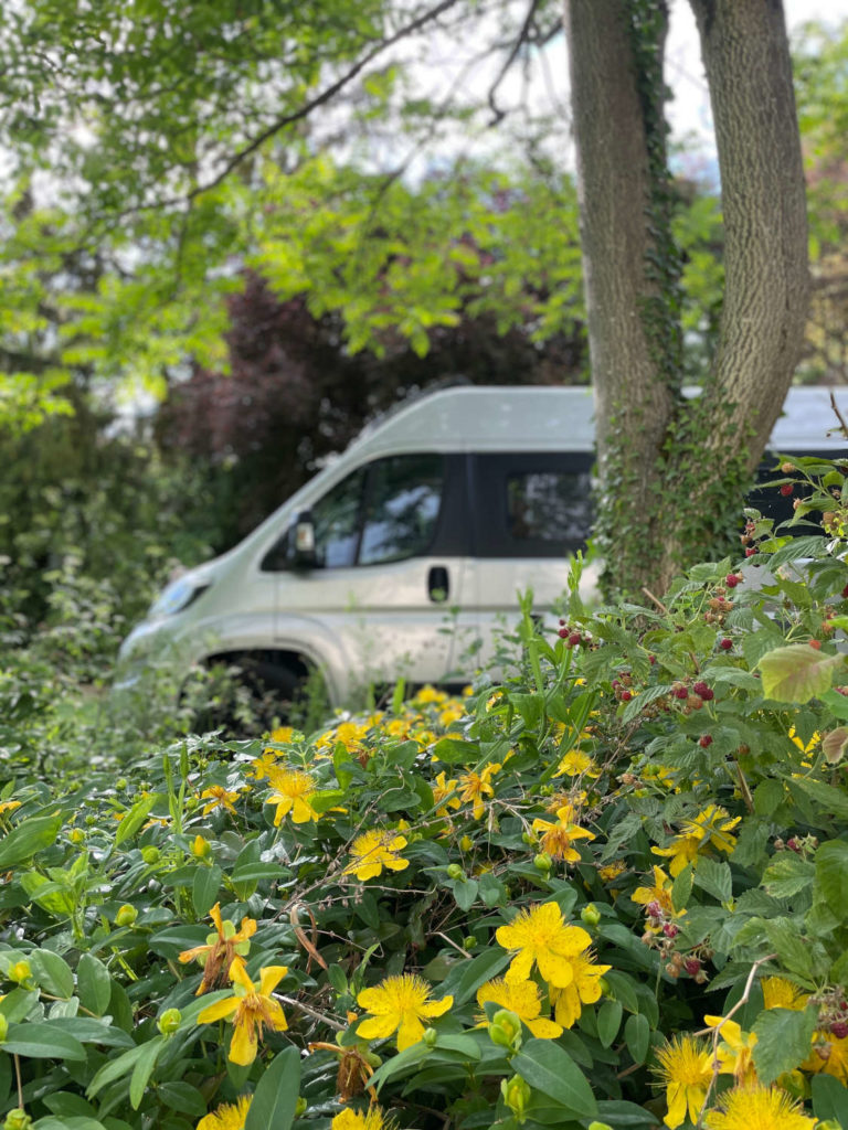 Weingut mit Wohnmobilstellplatz