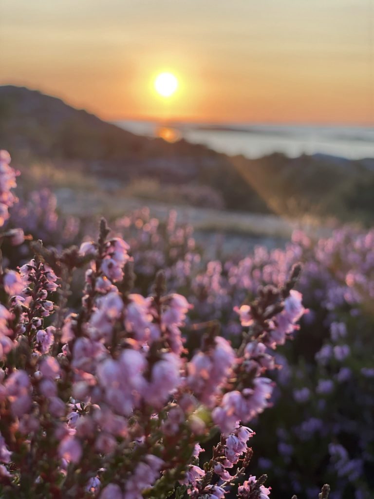 Marstrand Schweden