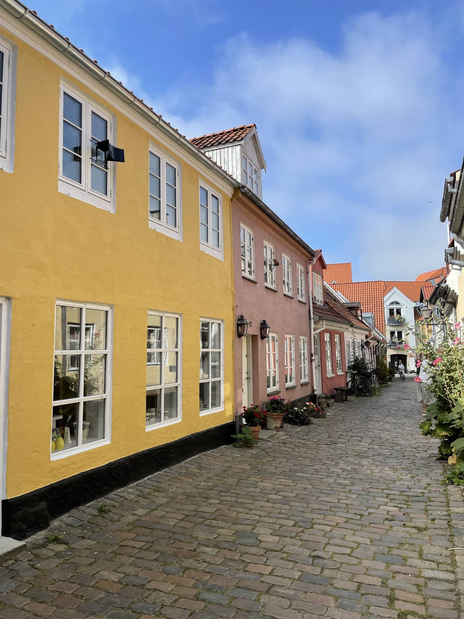 Aalborg Innenstadt Häuser