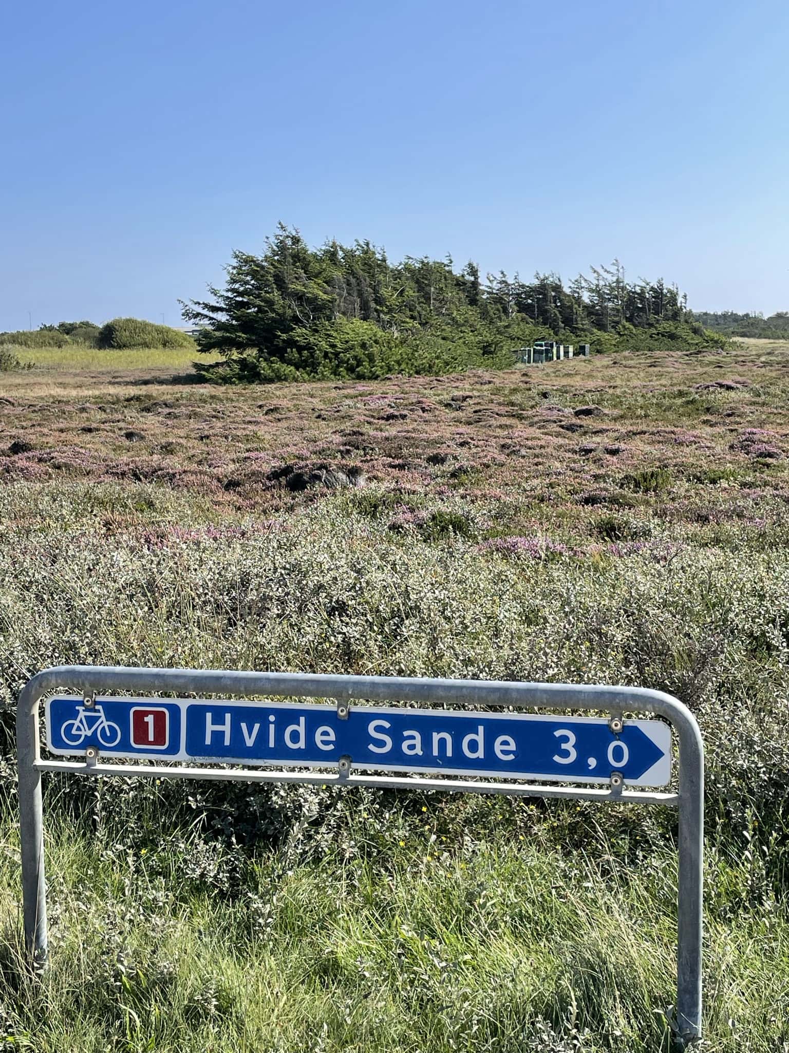 Fahrradweg Hvide Sande