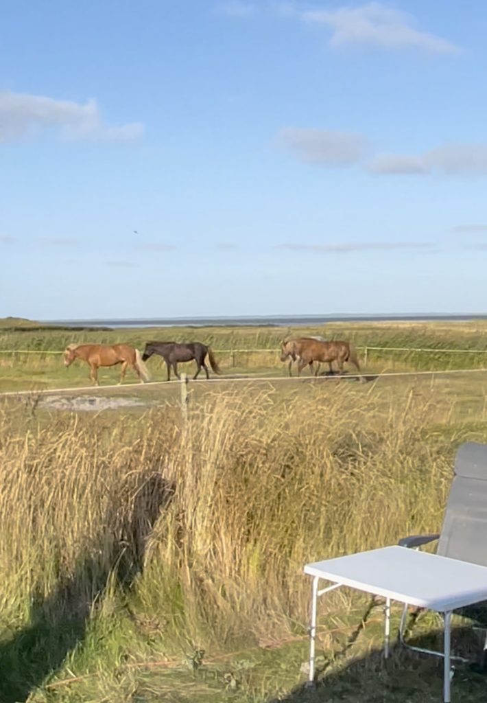 Camping in Dänemark