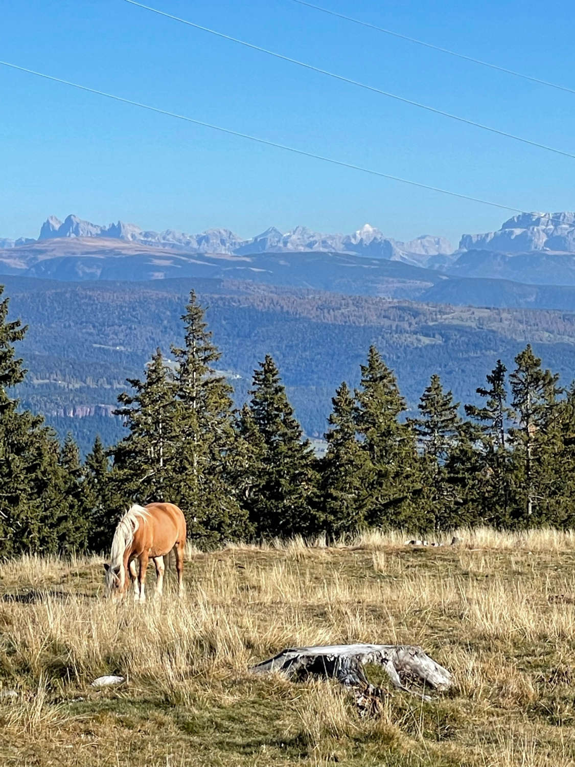 Naturnseralm-Suedtirol-dolomiten