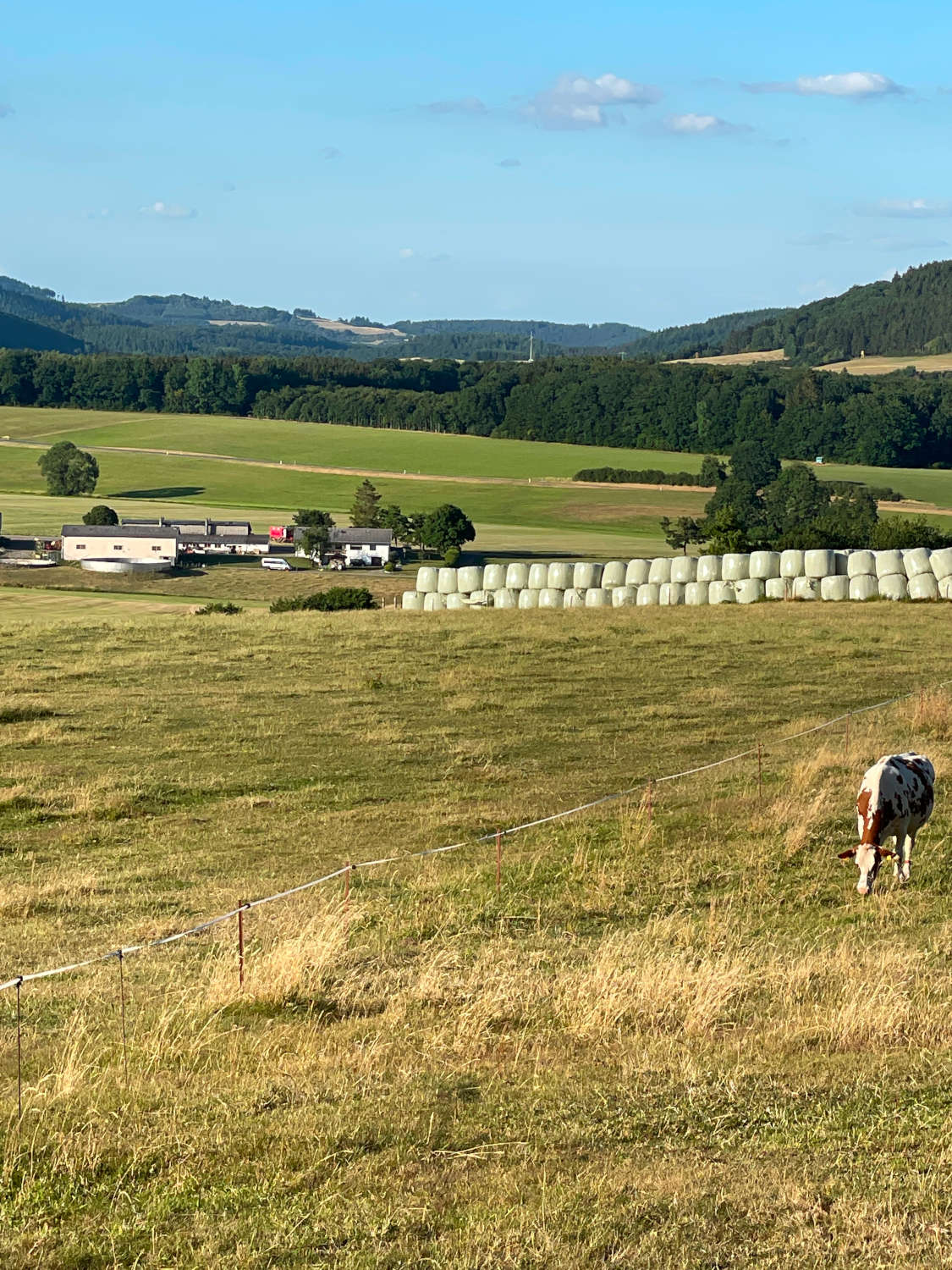 Hof Wiesental aus der Ferne