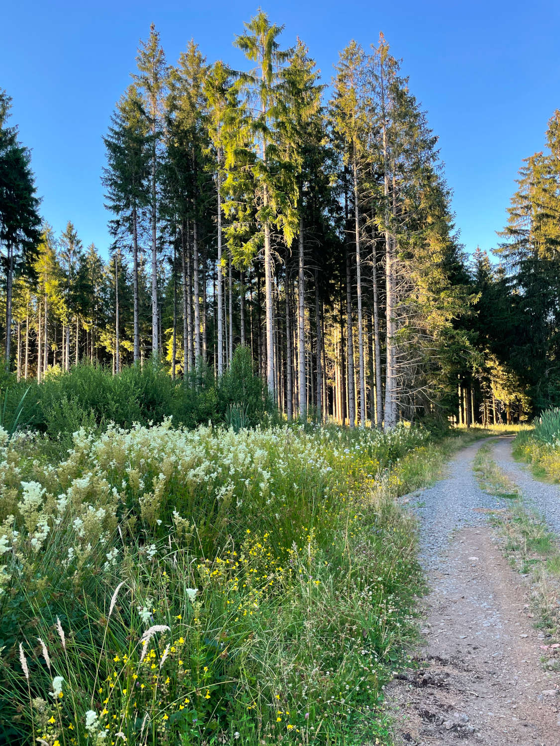 Rundwanderung Weidenbach