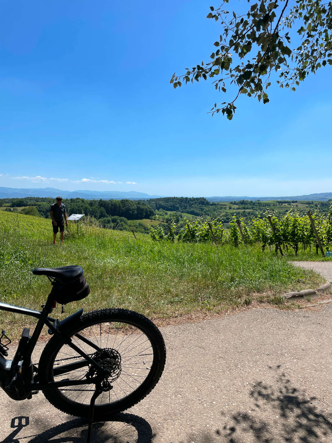 Fahrradtour Kaiserstuhl