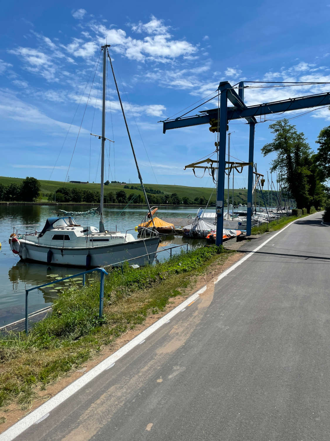 Radweg am Neckar