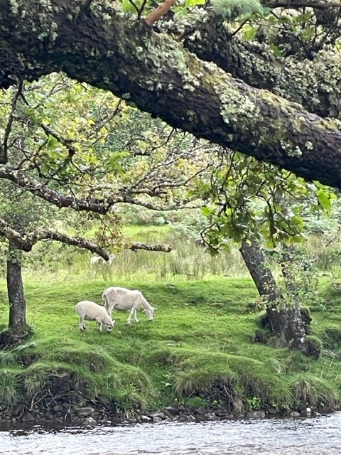 Schottland Rundreise