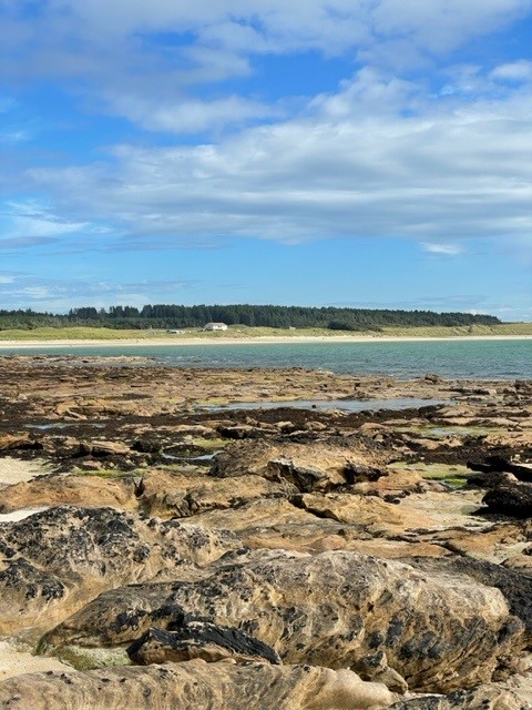 Dunnet Strand Steine