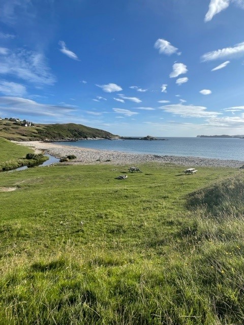 Schottland mit dem Wohnmobil