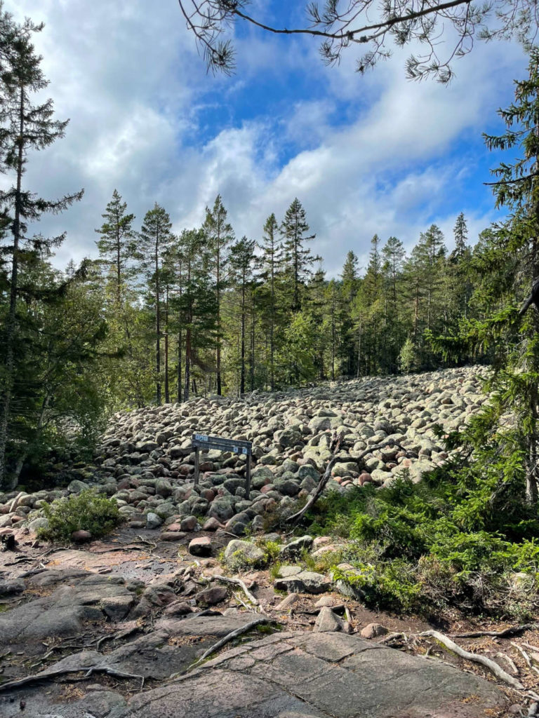 Skuelskogen