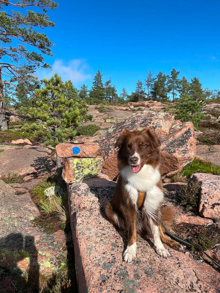 Skuleskogen Cora