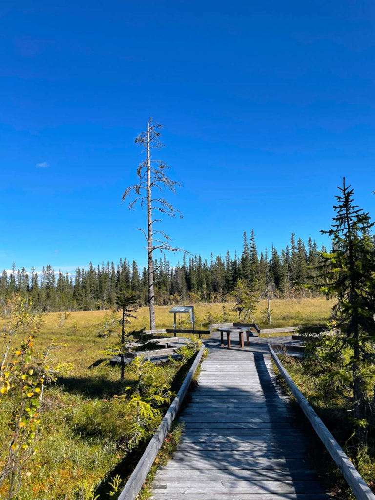 Fulufjället Nationalpark