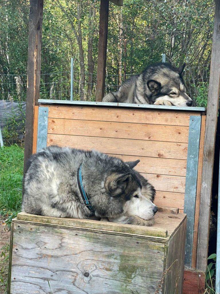 Stationshuset Stellplatz