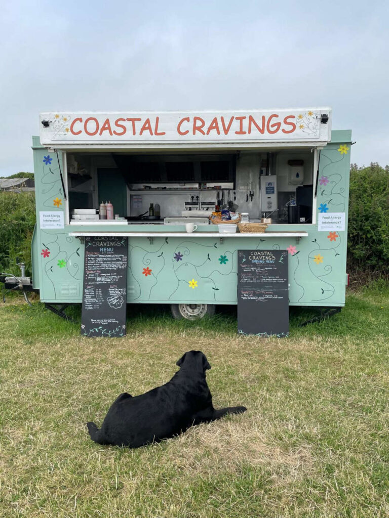 Cadgwith camping