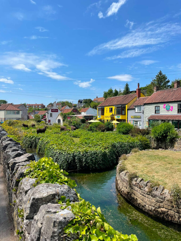 Cheddar Stadt